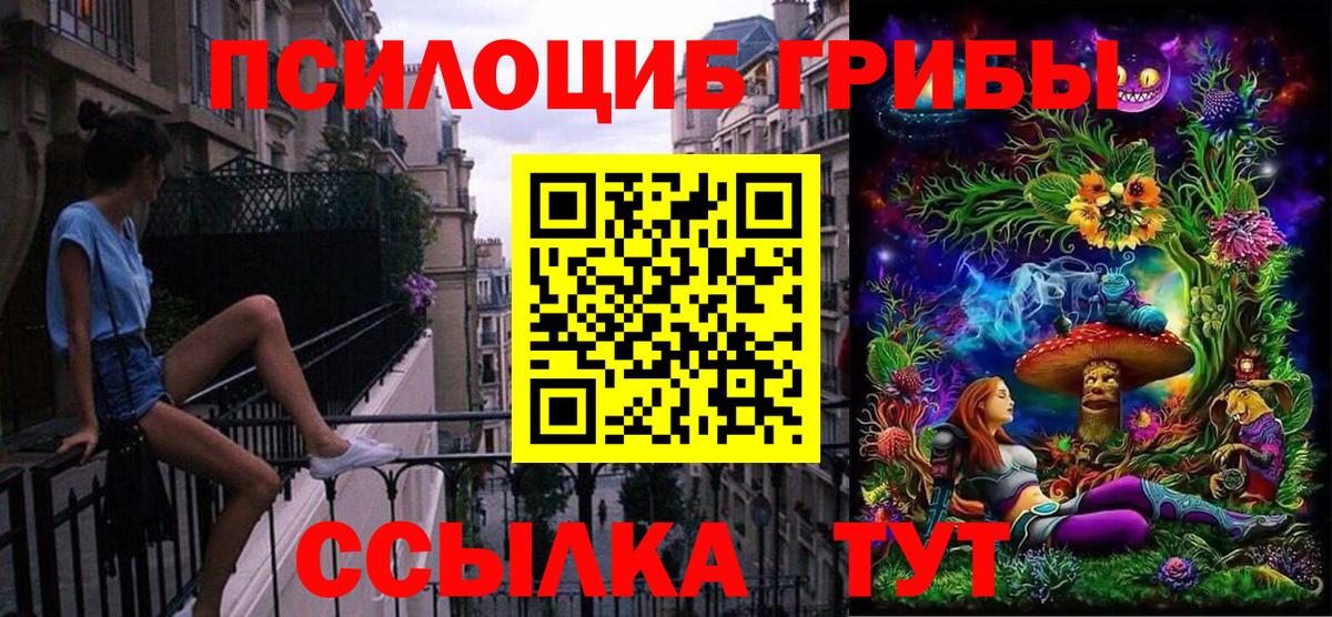Шарыпово  Галлюциногенные грибы Magic Shrooms  сколько стоит  Вход с VPN 